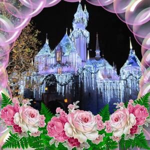 Meet your Posher, Eva